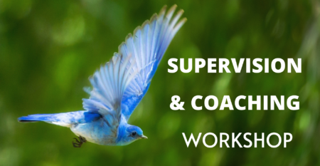International Supervision and Coaching Programme